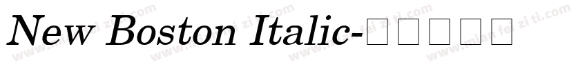 New Boston Italic字体转换